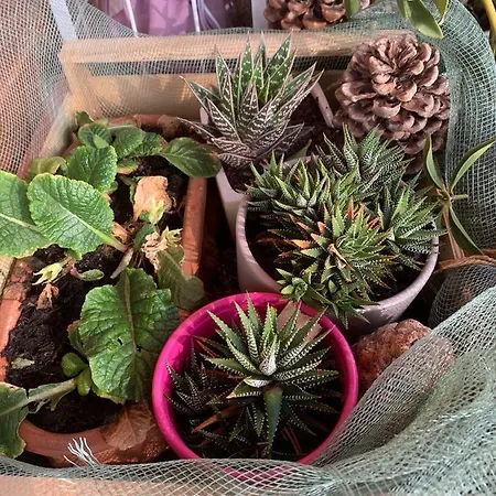 Bed & Breakfast La Ceresara